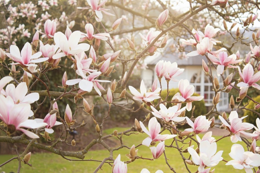 Ostern im Richtershof